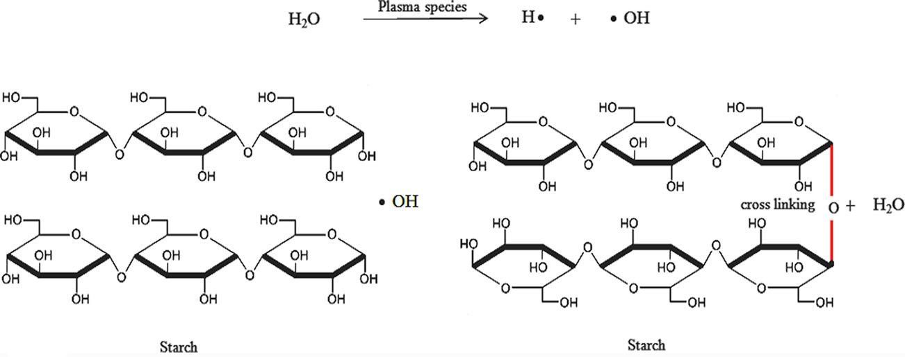 Mechanism of cold plasma treatment: cross-linking.