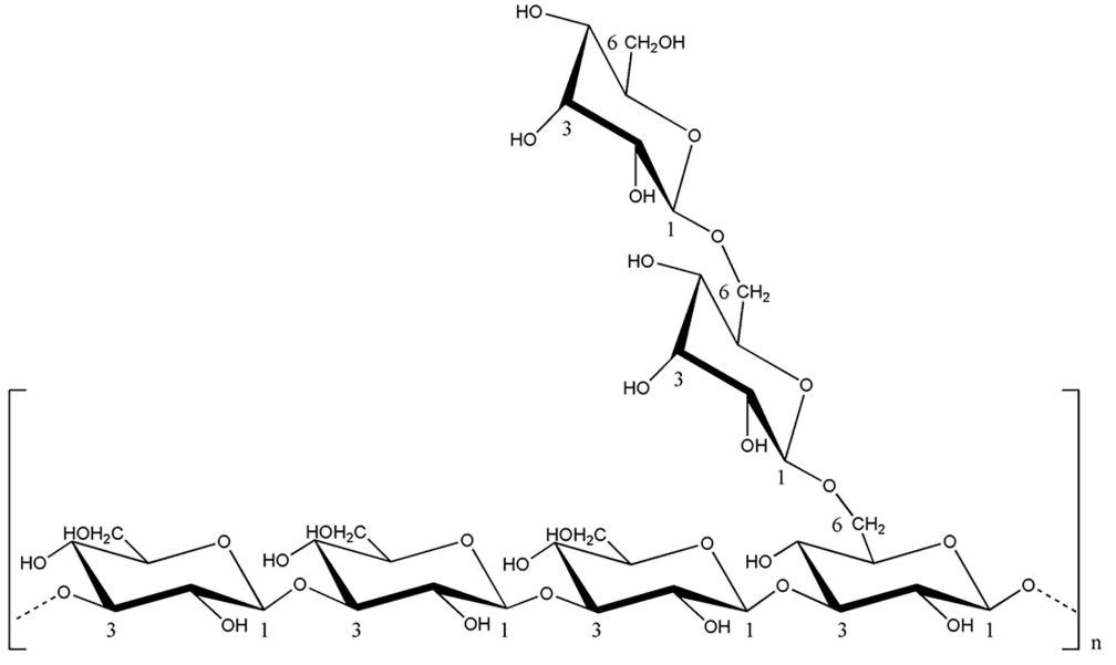 The structure of reishi mushroom beta-glucan.