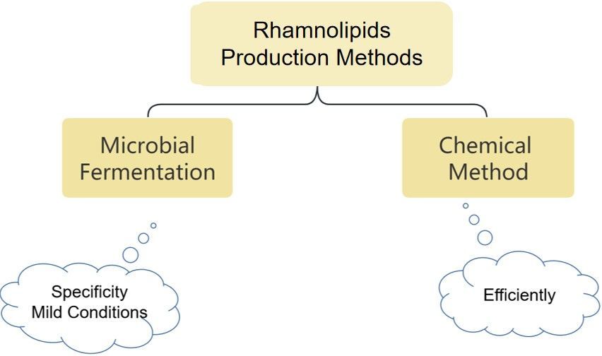 Production methods for rhamnolipids.